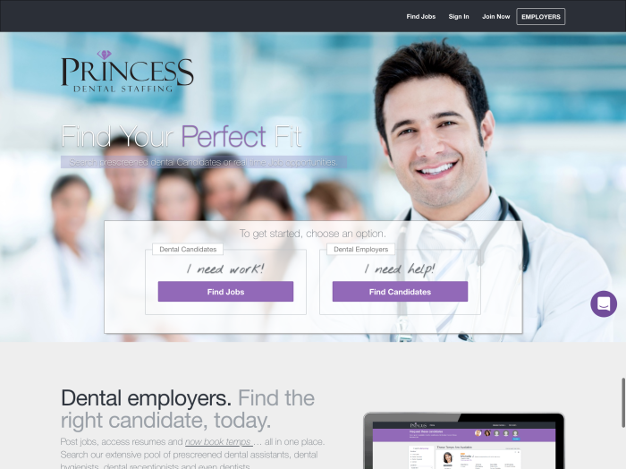 Princess Dental Staffing